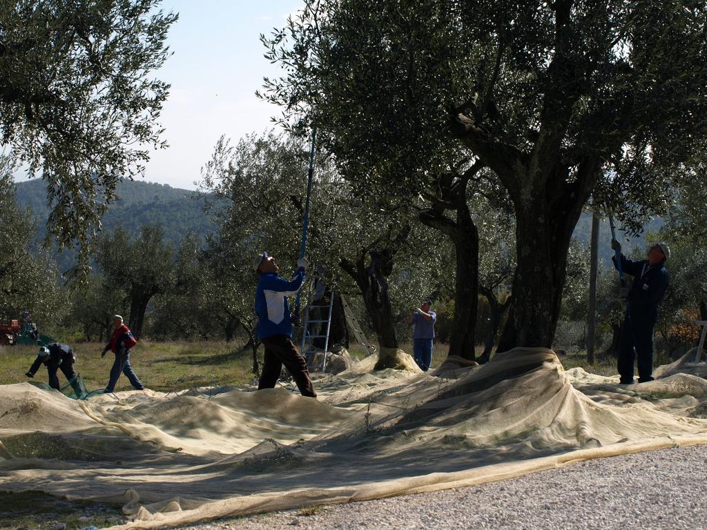 Podere Schioppello Casale Con Appartamenti Privati Cibottola Exterior foto